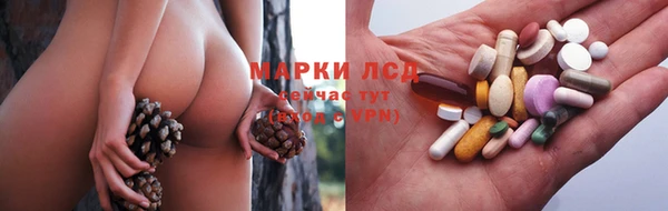 стафф Липки