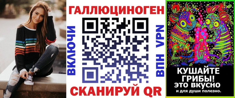 наркота  Шарья  Галлюциногенные грибы Psilocybine cubensis 